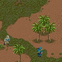 Портфолио Amelia Baker